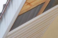 rated Tanlan soffit repair companies